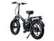Електро-фетбайк 20&Prime; EBIKE FAT 48/1000/15 10004-101 фото 3